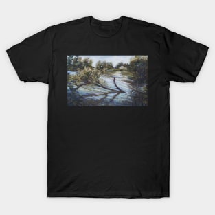 Flooding on Queenscliff Lagoon T-Shirt